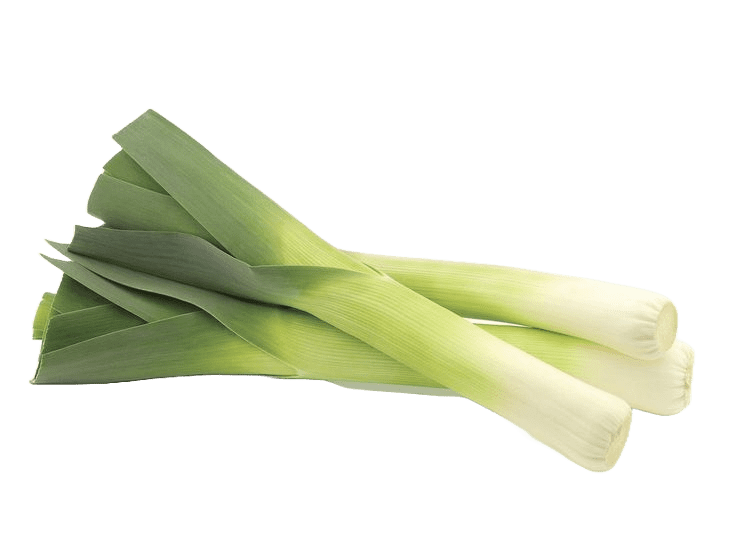 Лук порей